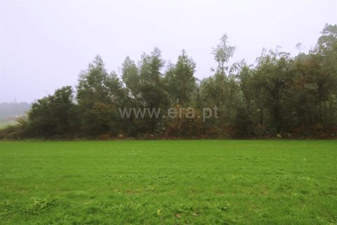Helårsgrund i Barcelos, Braga, Barcelos - € 120.000 | Ref: 254260117 - foto 2