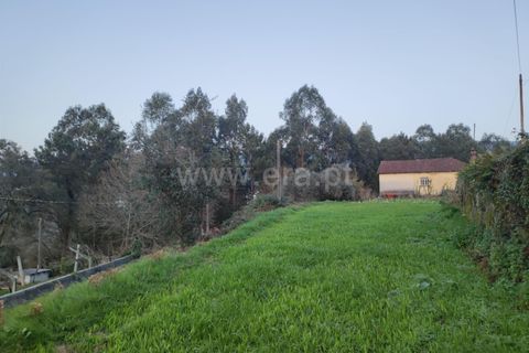 Helårsgrund i Barcelos, Braga, Barcelos - € 107.500 | Ref: 254260193 - foto 4