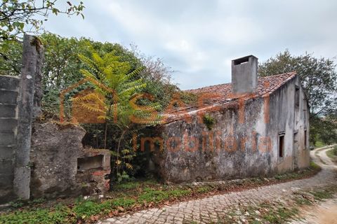 Villa a Ansiao, Leiria, Ansiao - € 59.000 | Ref: SAFTI:007536 - foto 6