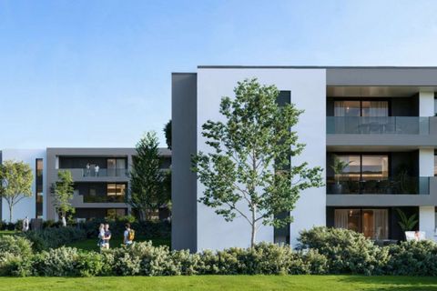 Lejlighed i Limena, Padua, Limena - € 330.000 | Ref: A914 - foto 12