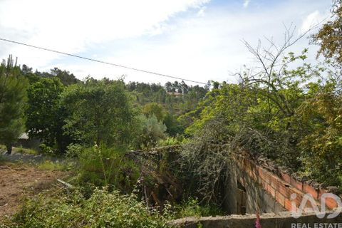 Byhus i Serta, Castelo Branco, Serta - € 58.000 | Ref: 57421 - foto 5