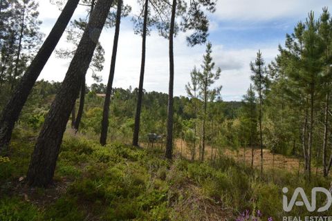 Byhus i Serta, Castelo Branco, Serta - € 58.000 | Ref: 57421 - foto 8