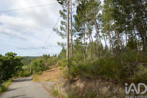 Byhus i Serta, Castelo Branco, Serta - € 58.000 | Ref: 57421 - foto 10