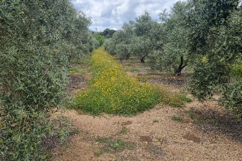 Landejendom i Antequera, Malaga, Antequera - € 495.000 | Ref: 947 - foto 18