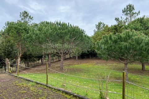 Villa i Foz do Arelho, Leiria, Foz do Arelho - € 670.000 | Ref: SS_0062 - foto 8