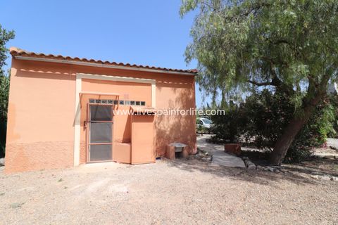 Landejendom i Catral, Alicante, Catral - € 975.000 | Ref: VRE-16850 - foto 48