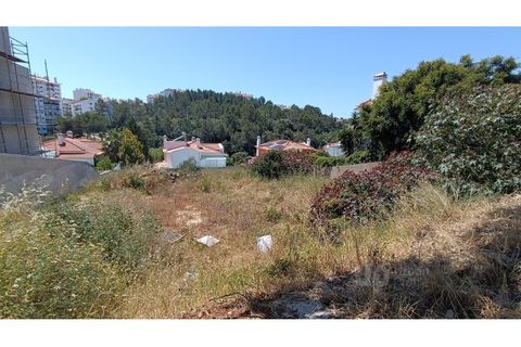 Helårsgrund i Alcabideche, Lisbon, Alcabideche - € 1.200.000 | Ref: JBC-T169 - foto 19
