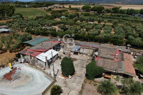 Landejendom i Capalbio, Grosseto, Capalbio - € 750.000 | Ref: CBI105-1176-440 - foto 3