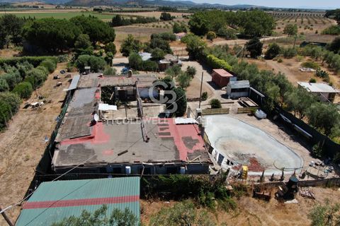Landejendom i Capalbio, Grosseto, Capalbio - € 750.000 | Ref: CBI105-1176-440 - foto 4