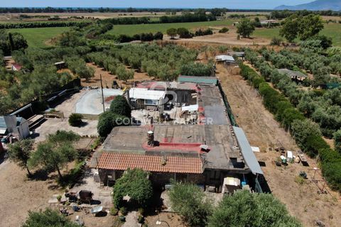 Landejendom i Capalbio, Grosseto, Capalbio - € 750.000 | Ref: CBI105-1176-440 - foto 5