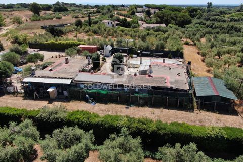 Landejendom i Capalbio, Grosseto, Capalbio - € 750.000 | Ref: CBI105-1176-440 - foto 6