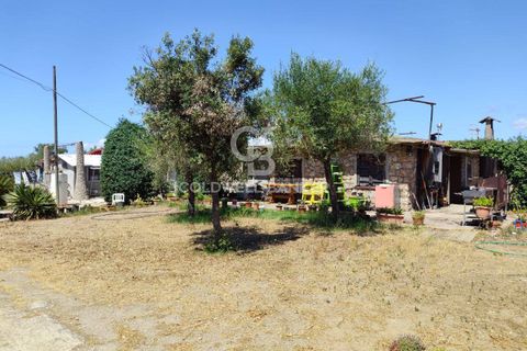 Landejendom i Capalbio, Grosseto, Capalbio - € 750.000 | Ref: CBI105-1176-440 - foto 7