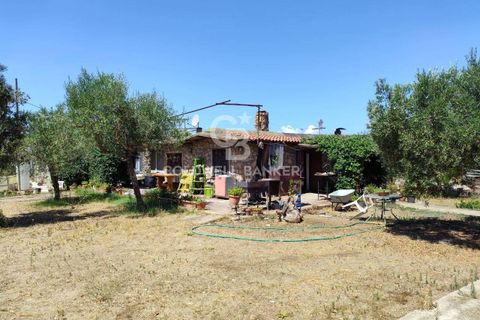 Landejendom i Capalbio, Grosseto, Capalbio - € 750.000 | Ref: CBI105-1176-440 - foto 8
