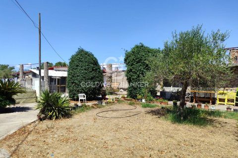 Landejendom i Capalbio, Grosseto, Capalbio - € 750.000 | Ref: CBI105-1176-440 - foto 9
