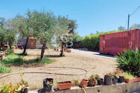Landejendom i Capalbio, Grosseto, Capalbio - € 750.000 | Ref: CBI105-1176-440 - foto 14