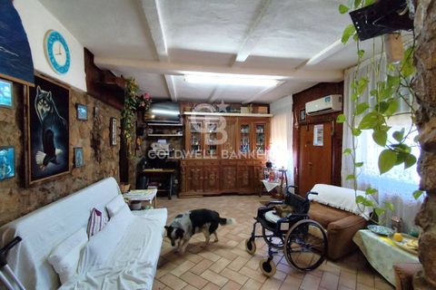 Landejendom i Capalbio, Grosseto, Capalbio - € 750.000 | Ref: CBI105-1176-440 - foto 16