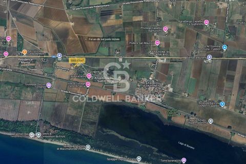 Landejendom i Capalbio, Grosseto, Capalbio - € 750.000 | Ref: CBI105-1176-440 - foto 22