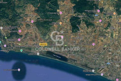 Landejendom i Capalbio, Grosseto, Capalbio - € 750.000 | Ref: CBI105-1176-440 - foto 23