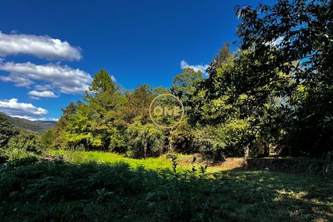 Tomt i Terras de Bouro, Braga, Terras de Bouro - € 36 500 | Ref: ONE141548-15 - foto 7