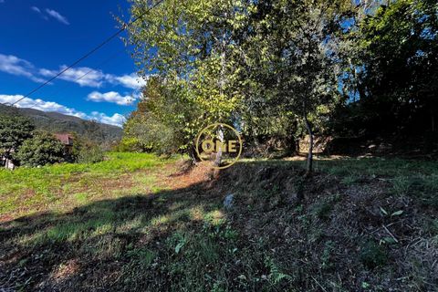 Tomt i Terras de Bouro, Braga, Terras de Bouro - € 36 500 | Ref: ONE141548-15 - foto 8