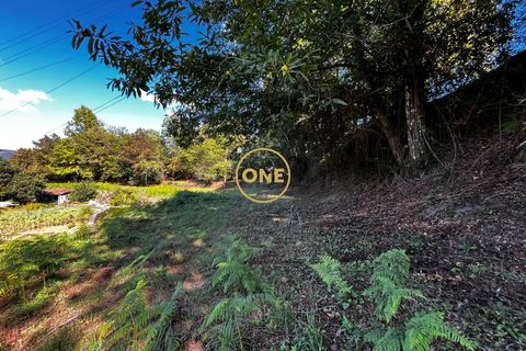 Tomt i Terras de Bouro, Braga, Terras de Bouro - € 36 500 | Ref: ONE141548-15 - foto 9