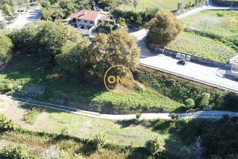 Tomt i Terras de Bouro, Braga, Terras de Bouro - € 36 500 | Ref: ONE141548-15 - foto 12