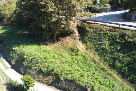 Tomt i Terras de Bouro, Braga, Terras de Bouro - € 36 500 | Ref: ONE141548-15 - foto 14