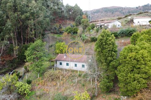Byhus i Terras de Bouro, Braga, Terras de Bouro - € 160.000 | Ref: ONE141494-64 - foto 17