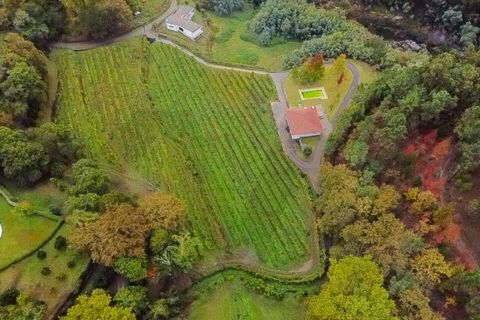 Farm i Parada do Bouro, Braga, Parada do Bouro - € 799.000 | Ref: KWPT-025843 - foto 2