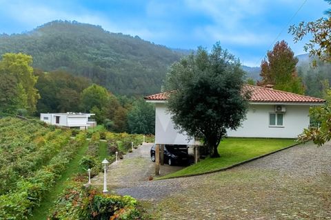 Farm i Parada do Bouro, Braga, Parada do Bouro - € 799.000 | Ref: KWPT-025843 - foto 21