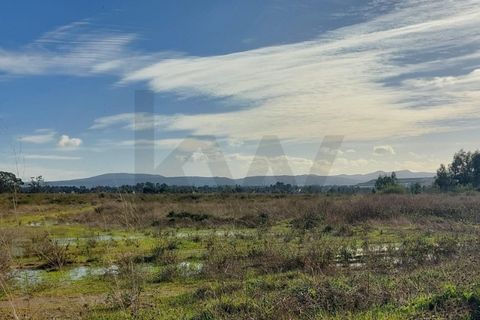 Villa i Quinta do Anjo, Setubal, Quinta do Anjo - € 600.000 | Ref: KWPT-025676 - foto 3