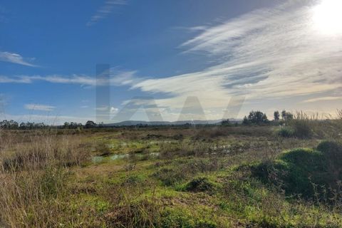 Villa a Quinta do Anjo, Setubal, Quinta do Anjo - € 600.000 | Ref: KWPT-025675 - foto 8