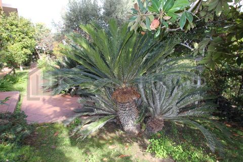 Villa en Rende, Cosenza, Rende - € 600.000 | Ref: 584 - photo 16