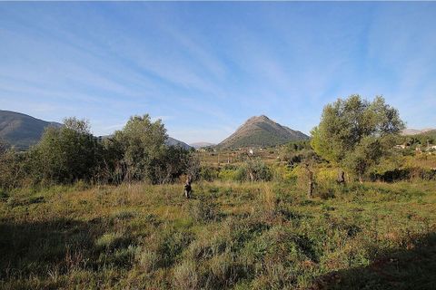 Terra a Murla, Alicante, Murla - € 150.000 | Ref: 2331 - foto 2