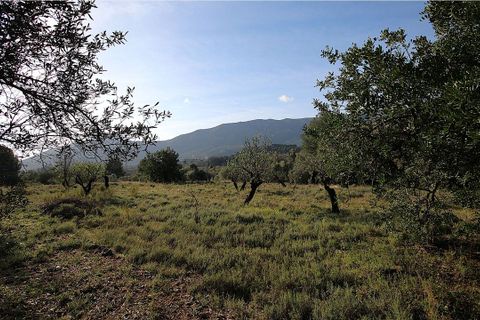 Terra a Murla, Alicante, Murla - € 150.000 | Ref: 2331 - foto 3