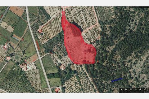 Terra a Murla, Alicante, Murla - € 150.000 | Ref: 2331 - foto 4