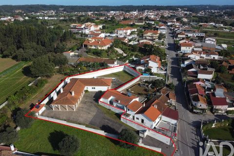 Byhus i Leiria, Leiria, Leiria - € 550.000 | Ref: 133392 - foto 28