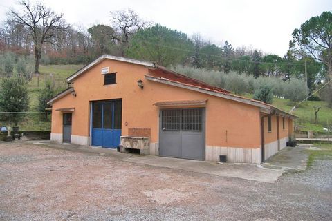 Erhvervsejendom i Chiusi, Siena, Chiusi - € 870.000 | Ref: a6380ca1041833a - foto 7