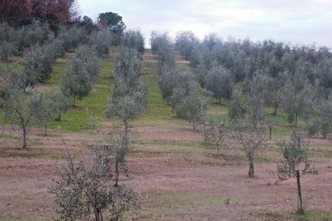 Erhvervsejendom i Chiusi, Siena, Chiusi - € 870.000 | Ref: a6380ca1041833a - foto 19