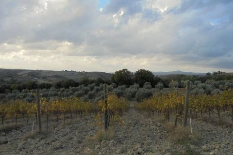 Erhvervsejendom i Montecchio, Terni, Montecchio - € 1.200.000 | Ref: a6380ca1386955a - foto 4