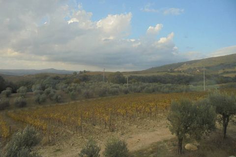 Erhvervsejendom i Montecchio, Terni, Montecchio - € 1.200.000 | Ref: a6380ca1386955a - foto 6