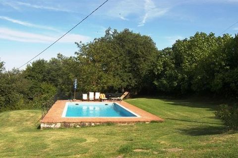 Erhvervsejendom i Cortona, Arezzo, Cortona - € 1.050.000 | Ref: a6380ca987856a - foto 3