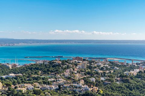 Villa a Genova, Mallorca, Genova - € 5.900.000 | Ref: FALC-Nep-63047 - foto 23