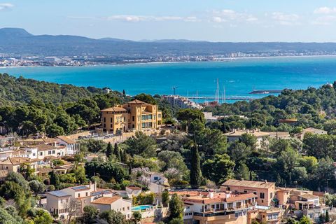 Villa a Genova, Mallorca, Genova - € 5.900.000 | Ref: FALC-Nep-63047 - foto 26