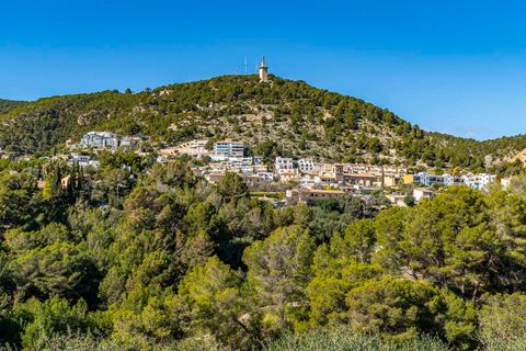 Villa a Genova, Mallorca, Genova - € 5.900.000 | Ref: FALC-Nep-63047 - foto 28