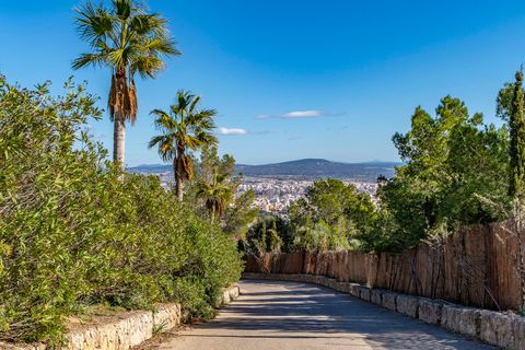 Villa a Genova, Mallorca, Genova - € 5.900.000 | Ref: FALC-Nep-63047 - foto 30