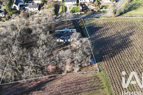 Villa i Noizay, Indre-et-Loire, Noizay - € 385.000 | Ref: 46475 - foto 2