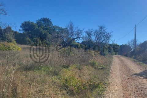 Helårsgrund i Guia, Faro, Guia - € 145.000 | Ref: City-25-34V - foto 5