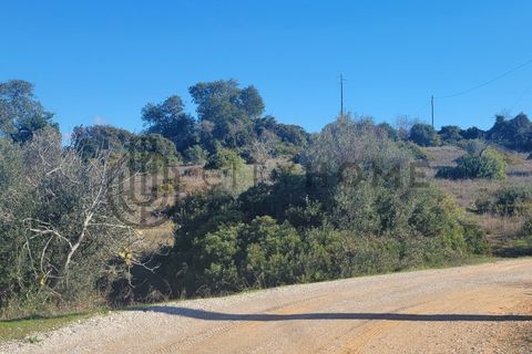 Helårsgrund i Guia, Faro, Guia - € 145.000 | Ref: City-25-34V - foto 6