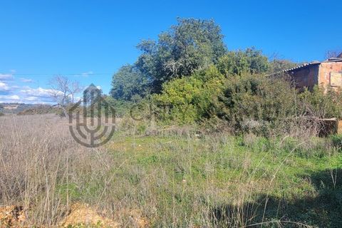 Helårsgrund i Guia, Faro, Guia - € 145.000 | Ref: City-25-34V - foto 17